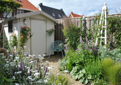 Kleine tuin