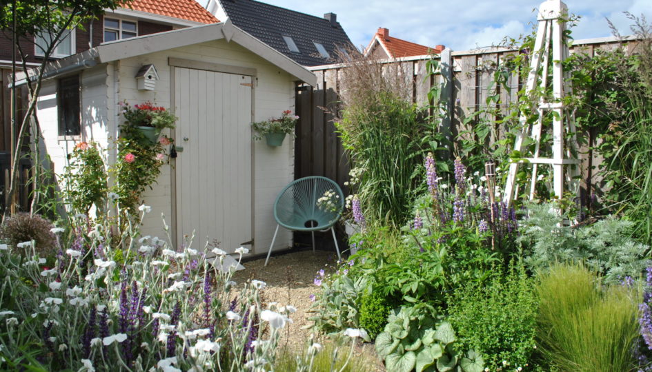 10 tips kleine tuin - - Specialist in tuinplanten