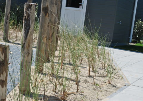 Strandtuin