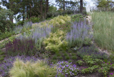 Kustplanten