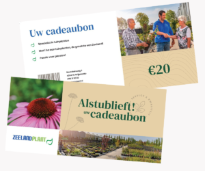 Cadeaubon 20 euro