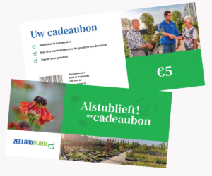 Cadeaubon 5 euro