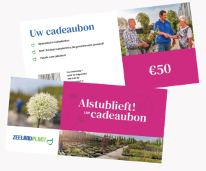 Cadeaubon 50 euro