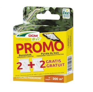 DCM Cydalima-Pheromone