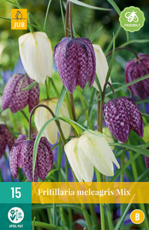 Fritillaria meleagris mix