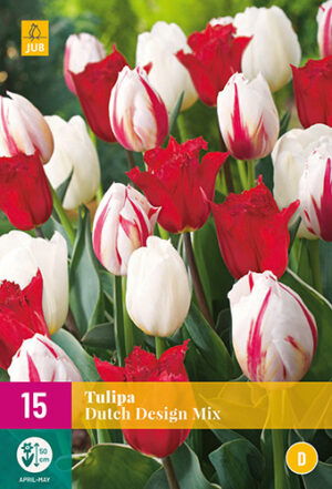 Tulipa Dutch Design Mix