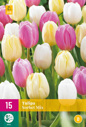 Tulipa Sorbet Mix
