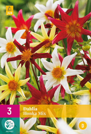 Dahlia Honka mix