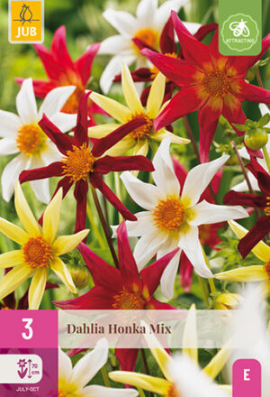 Dahlia Honka mix