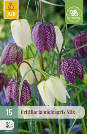 Fritillaria meleagris mix