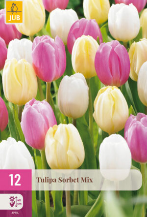 Tulipa Sorbet Mix