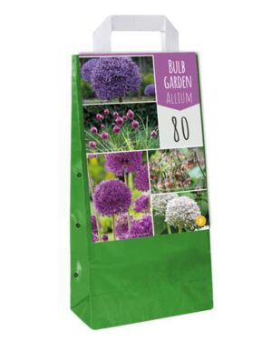 Allium Garden Mix