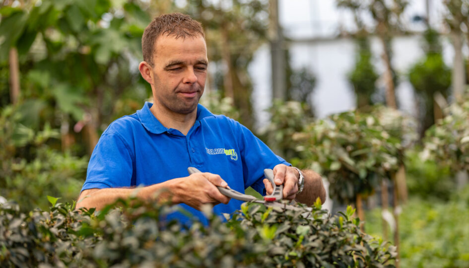 Verschuiving verlegen venijn Essentieel tuingereedschap - Zeelandplant