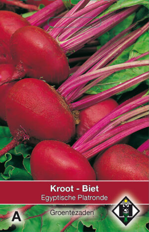 Biet - Kroot Egyptische Platronde