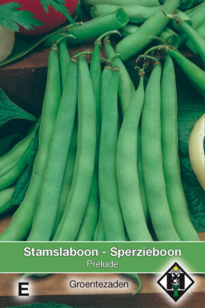 Stamslaboon Prelude, 60 gr.