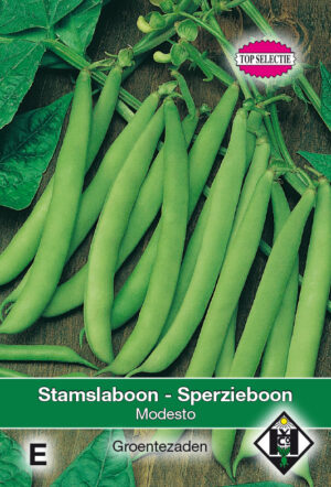 Stamslaboon Modesto, 30 gr.