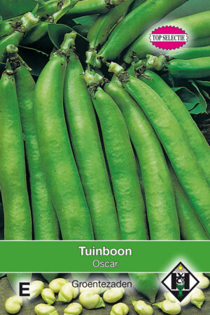 Tuinboon Oscar, 60 gr.