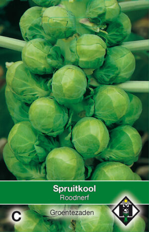 Spruitkool Roodnerf