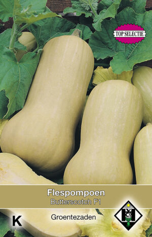 Flespompoen Butterscotch F1