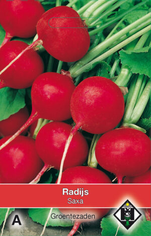 Radijs Saxa