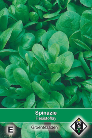 Spinazie Resistoflay, 35 gr.