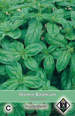 Groene basilicum Genovese