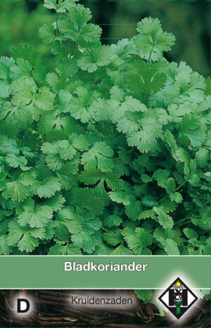 Coriandrum