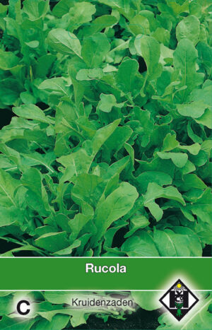Eruca sativa