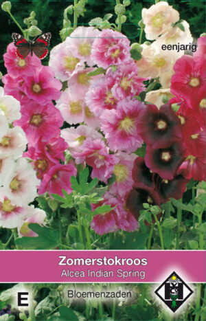 Alcea rosea annua Indian Spring