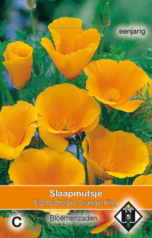 Eschscholzia cal. Orange King