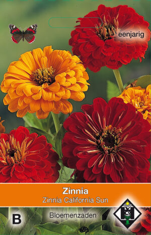 Zinnia elegans California Sun