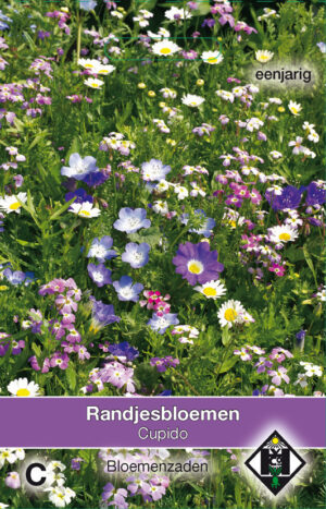 Cupido Randjesbloemen mengsel
