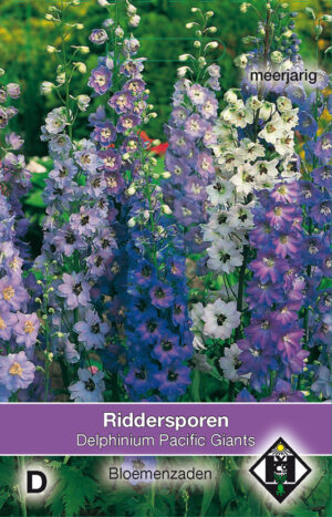 Delphinium cultorum Pacific Giants