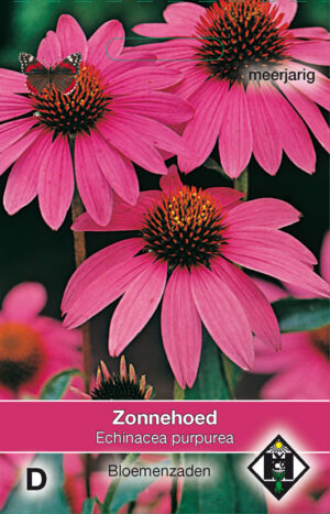 Echinacea purpurea bloemenzaad
