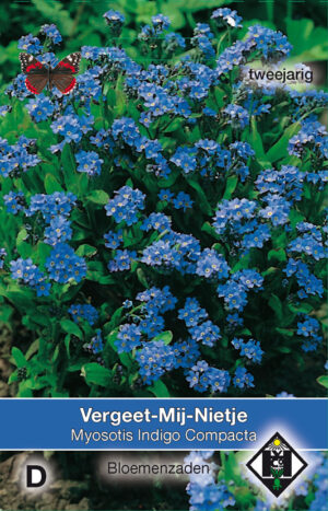Myosotis sylvatica Indigo Compacta