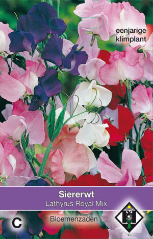 Lathyrus odoratus Royal Mix