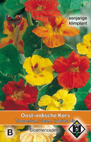 Tropaeolum majus Gleam Hybrids Mix