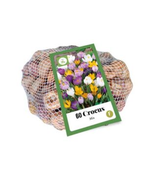 Crocus mix