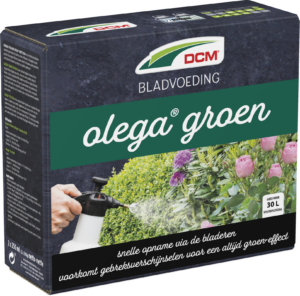 DCM Bladvoeding Olega Groen