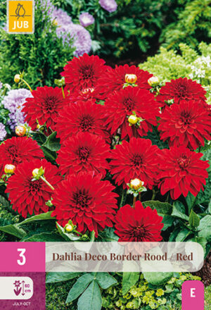 Dahlia Deco Border rood