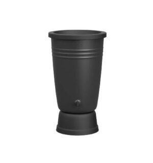 Regenton Green Basics
