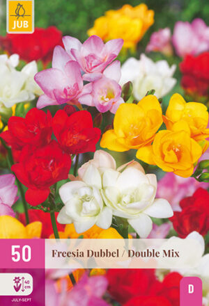 Freesia Dubbel Mix