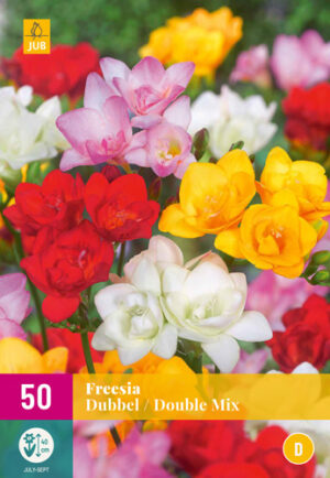 Freesia Dubbel Mix