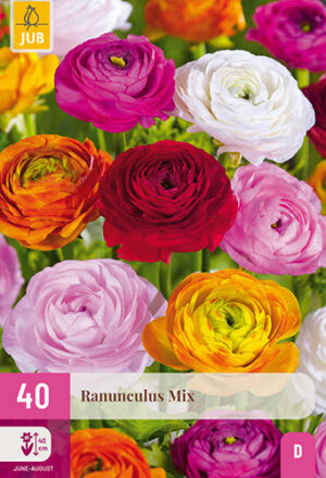 Ranunculus Mix