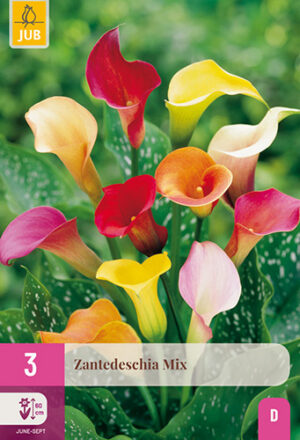 Zantedeschia Mix