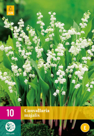 Convallaria majalis