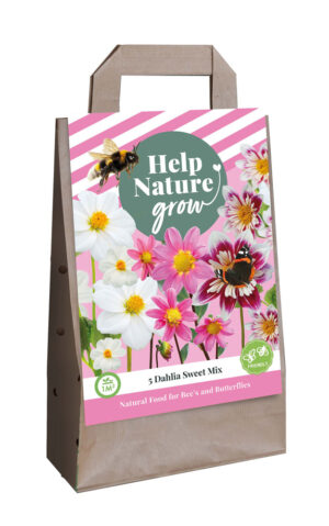 Tas Dahlia's Sweet Mix