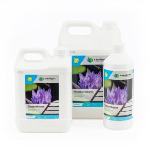 Moerings Phosphate Balance