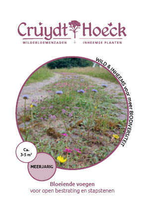 Bloeiende voegen bloemenmengsel M6