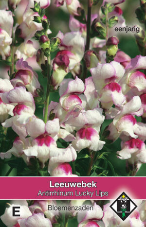 Antirrhinum majus Lucky Lips
